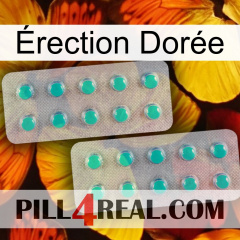 Érection Dorée 29